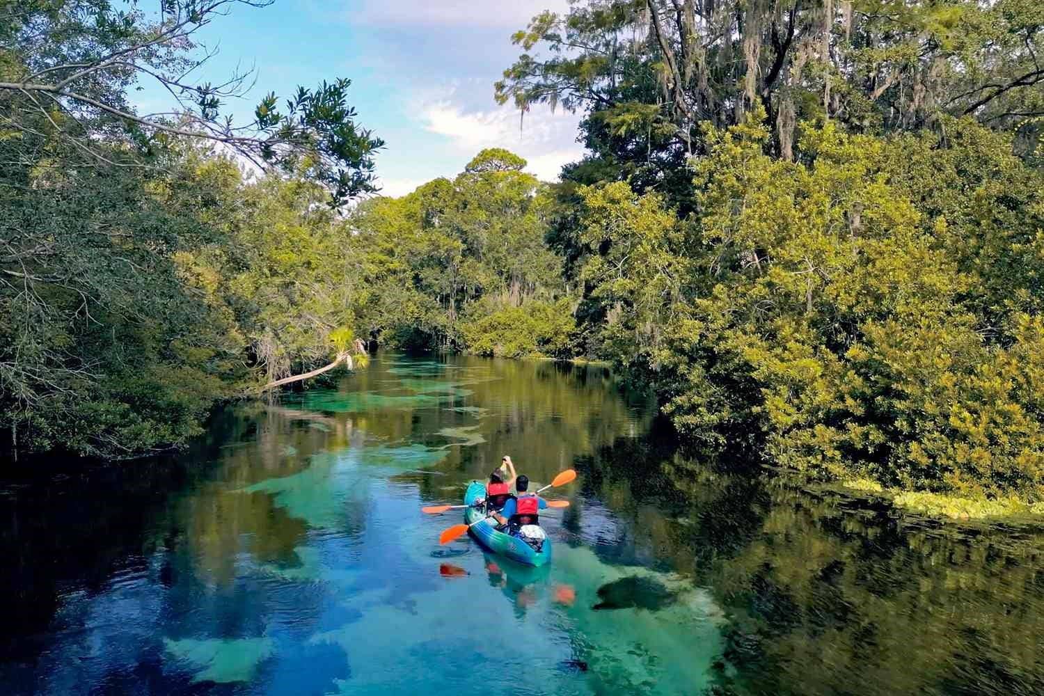 11603 GRACE ROAD, Weeki Wachee, FL 34614 The Springs