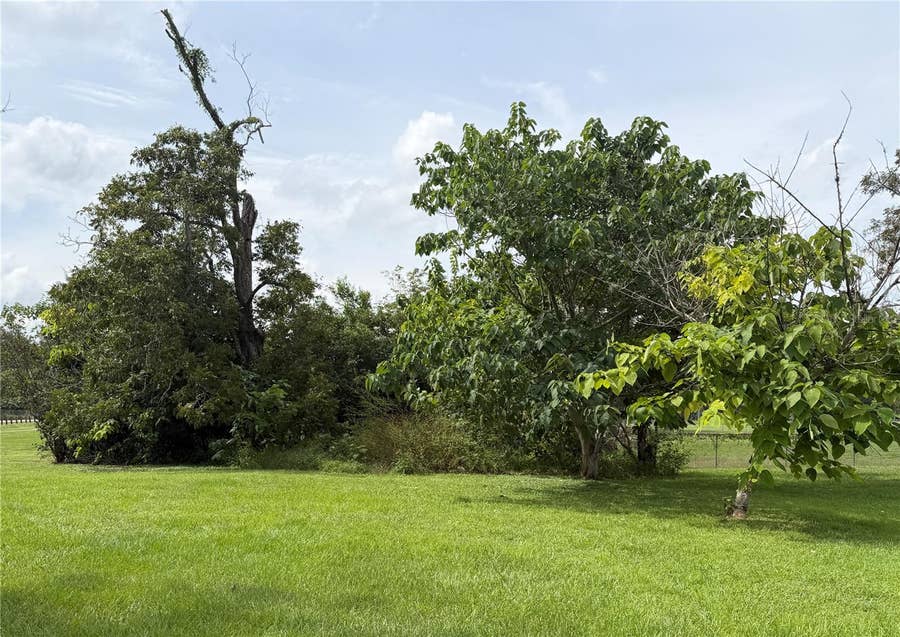 Property photo for 1404 NW 20TH COURT, Ocala, FL