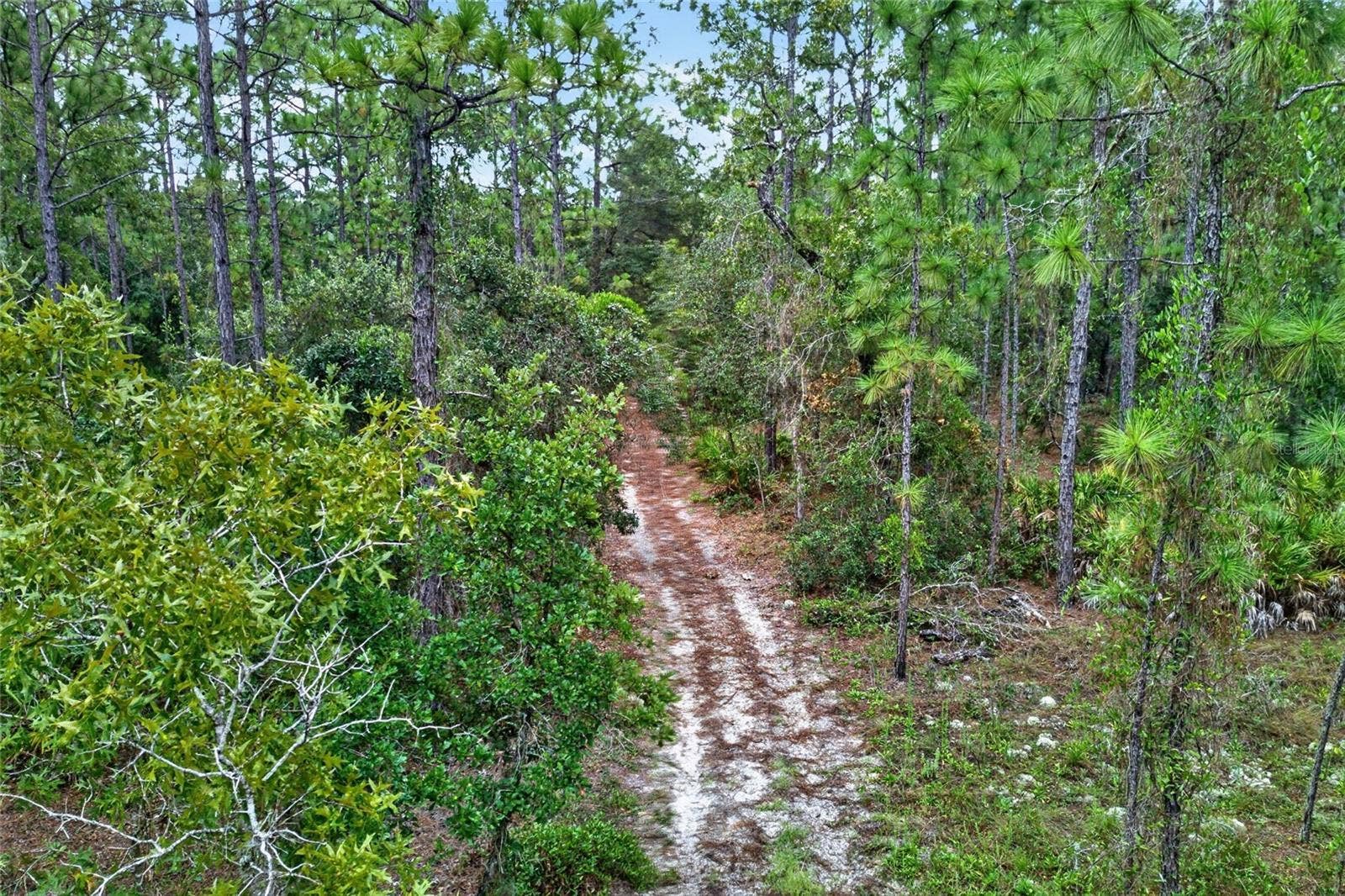 5286 W YEARLING DRIVE, Beverly Hills, FL 34465 25+ miles of equestrian trails.