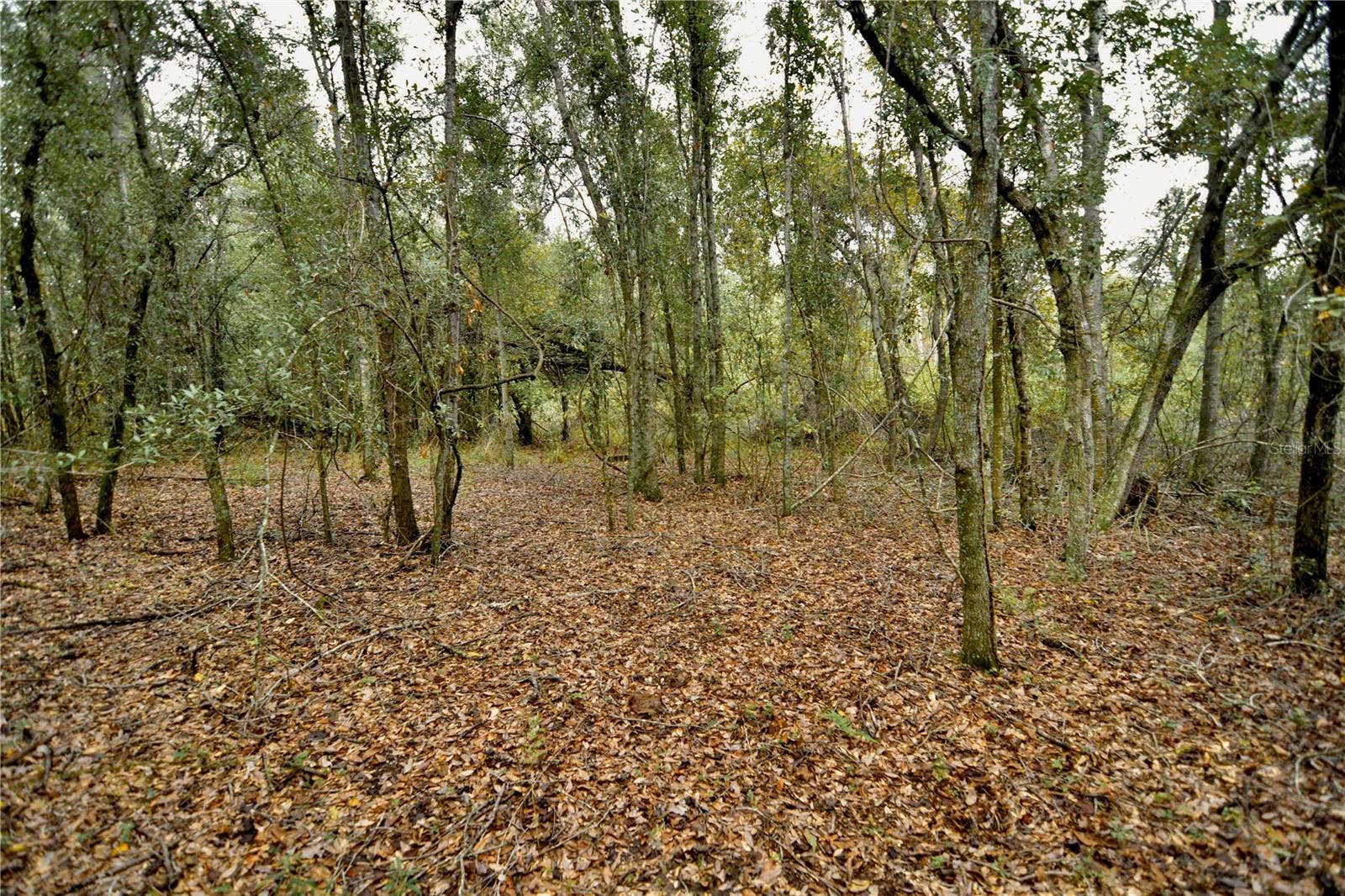 00 50TH ST, Live Oak, FL 32060