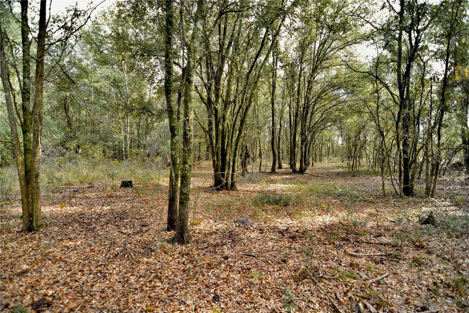 00 50TH ST, Live Oak, FL 32060
