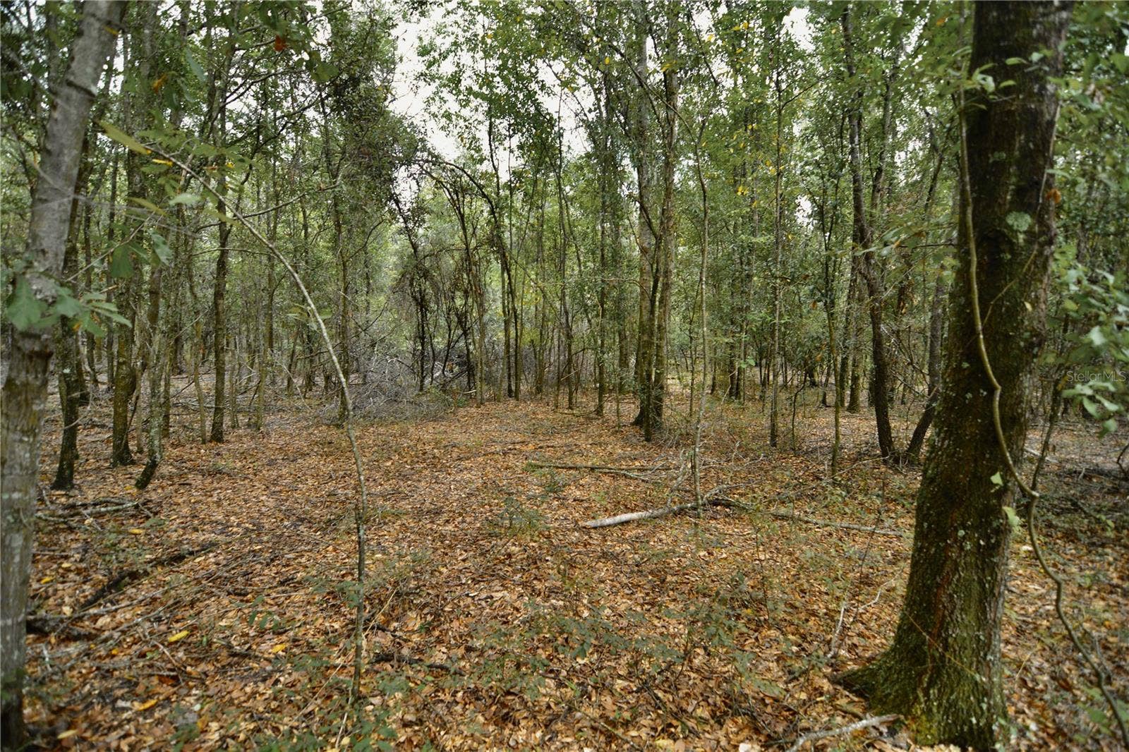 00 50TH ST, Live Oak, FL 32060
