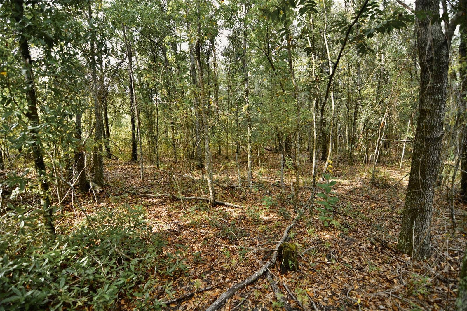 00 50TH ST, Live Oak, FL 32060