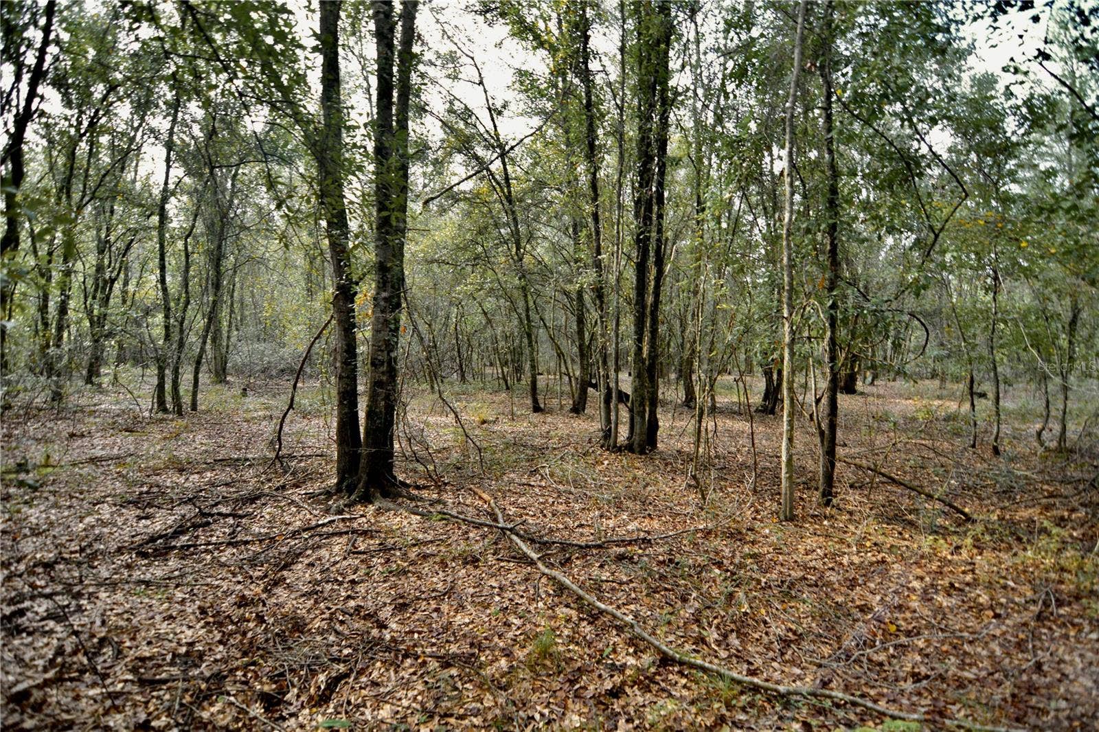 00 50TH ST, Live Oak, FL 32060