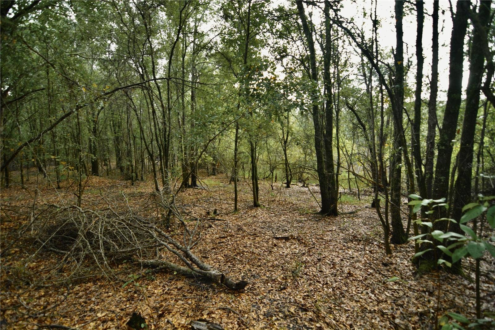 00 50TH ST, Live Oak, FL 32060