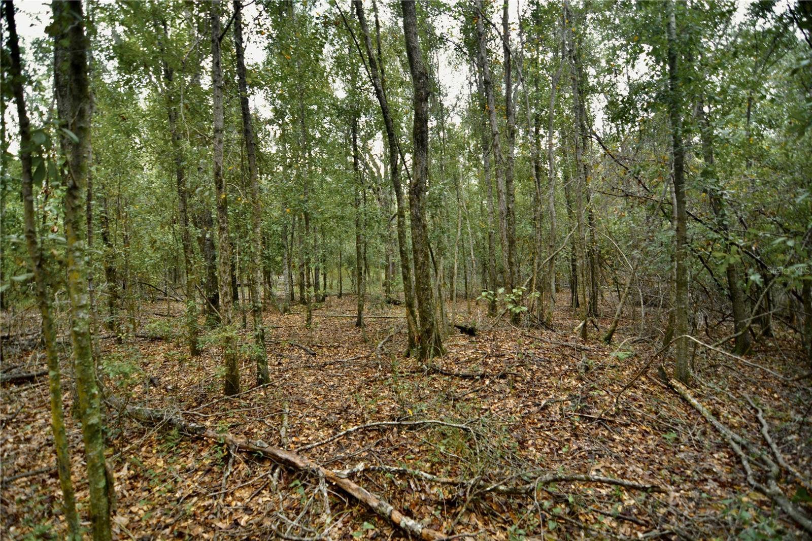 00 50TH ST, Live Oak, FL 32060