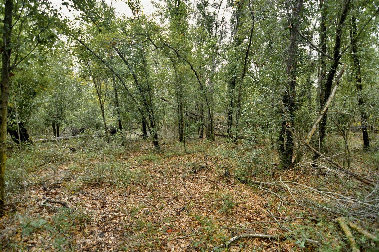 00 50TH ST, Live Oak, FL 32060