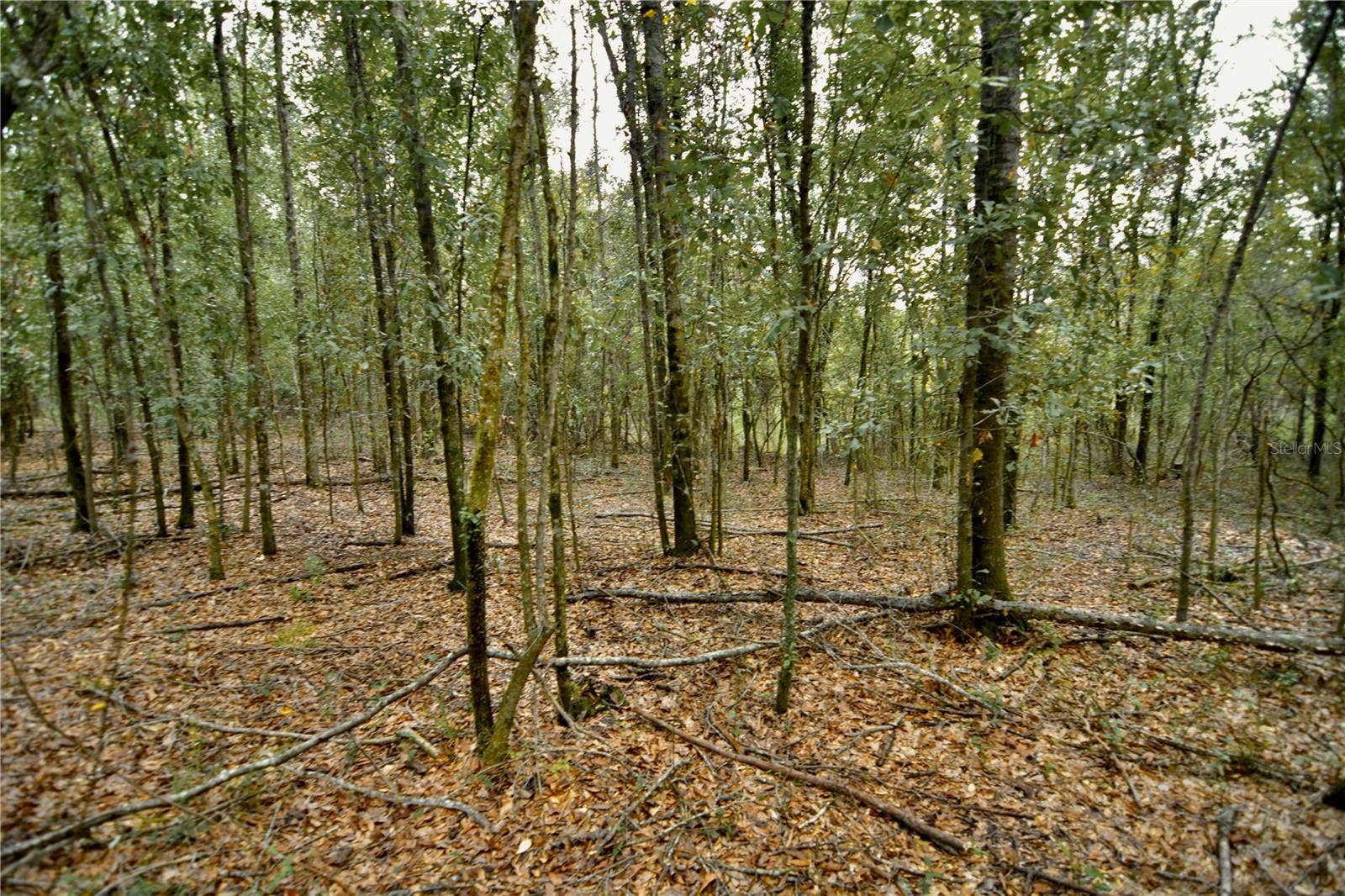 00 50TH ST, Live Oak, FL 32060