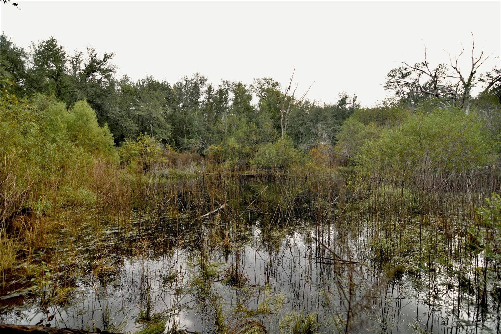 00 50TH ST, Live Oak, FL 32060