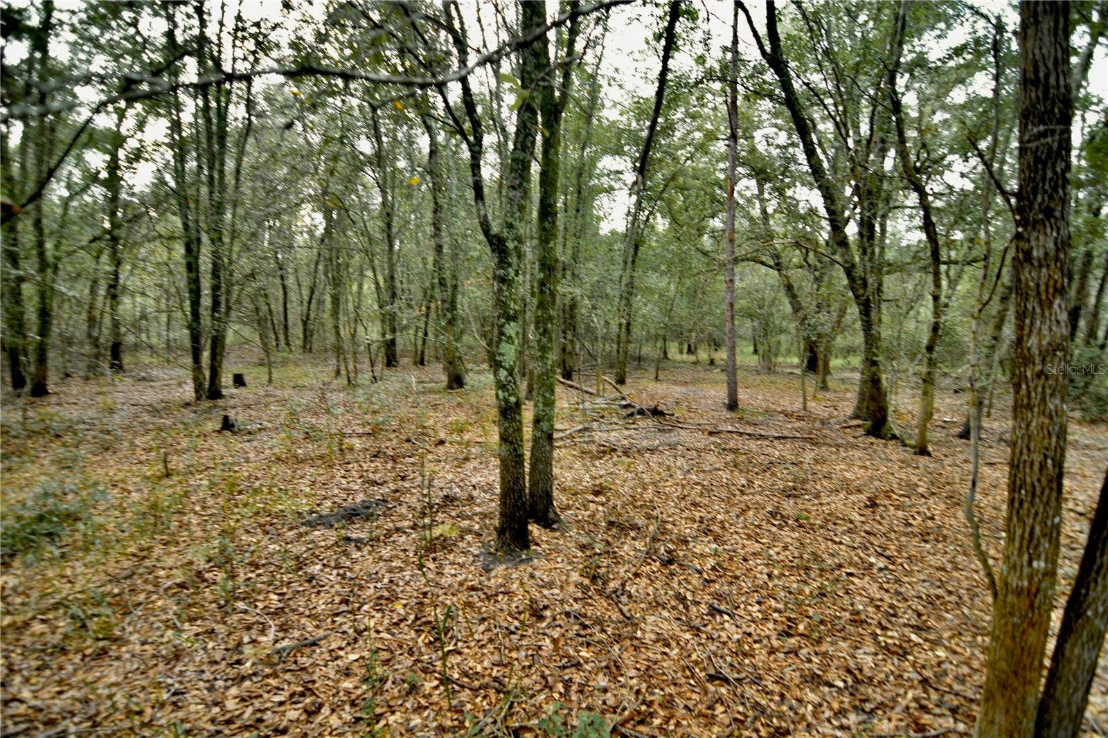 00 50TH ST, Live Oak, FL 32060