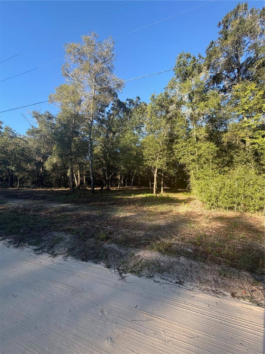 Property photo for 0 SW 150TH, Ocala, FL