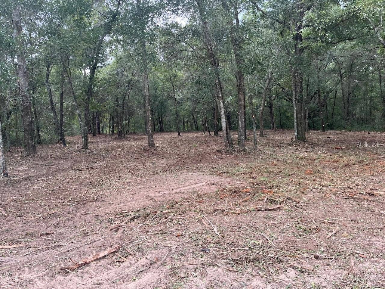 0 SW 150TH, Ocala, FL 34481