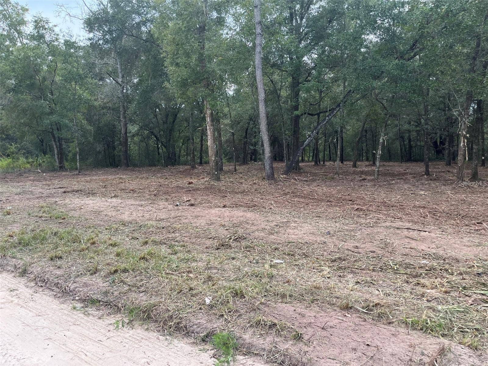 0 SW 150TH, Ocala, FL 34481