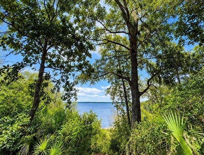 TBD NE 245TH STREET ROAD, Fort Mc Coy, FL 32134 TBD NE 245TH STREET ROAD, Fort Mc Coy, FL 32134