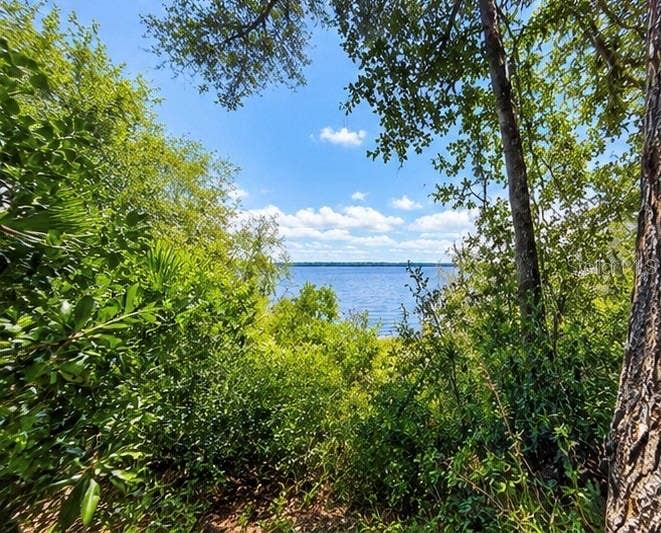 TBD NE 245TH STREET ROAD, Fort Mc Coy, FL 32134 TBD NE 245TH STREET ROAD, Fort Mc Coy, FL 32134