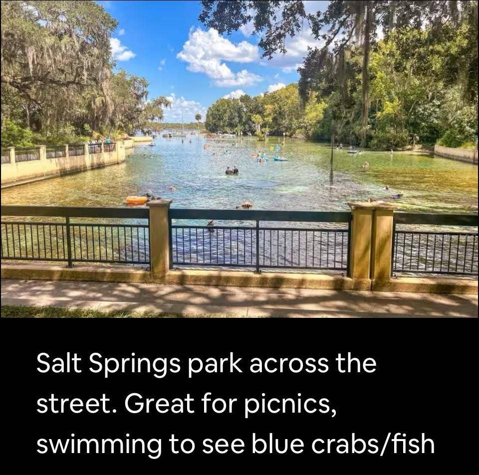 25345 140TH PLACE NE, #351, Fort Mc Coy, FL 32134 25345 140TH PLACE NE, #351, Fort Mc Coy, FL 32134