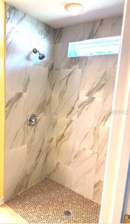 13417 SE 86TH CIRCLE, Summerfield, FL 34491 New Zero Entry Shower (10/26/2026)
