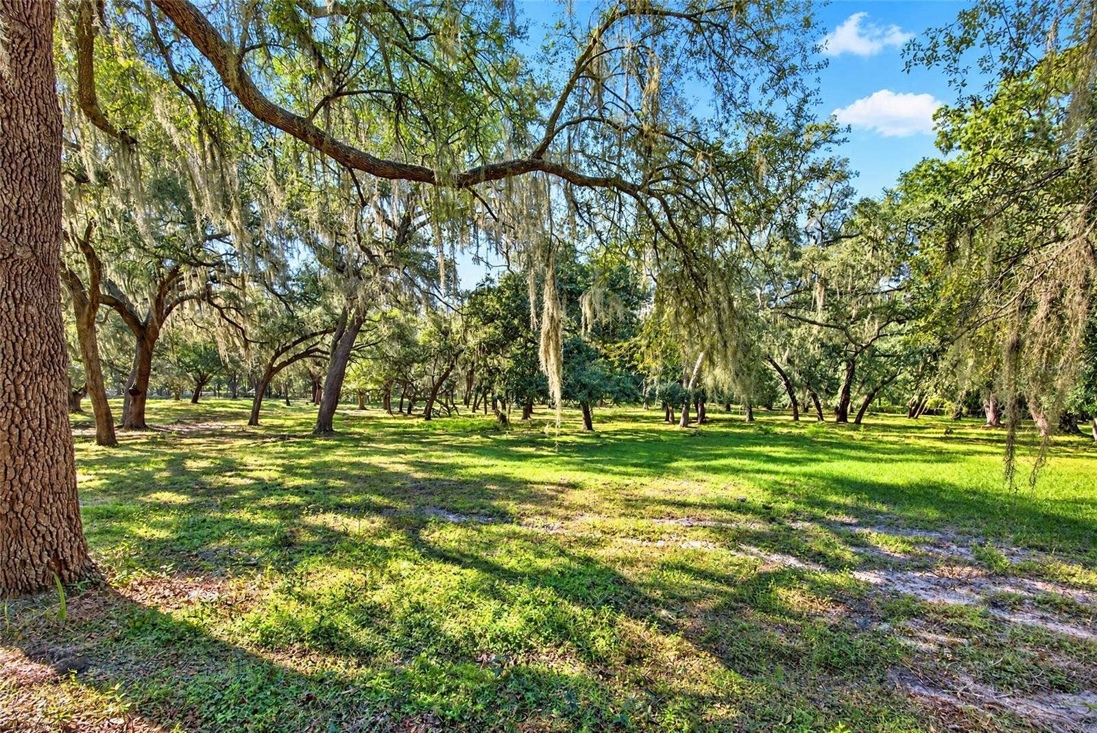 2750 NE 175TH STREET ROAD, Citra, FL 32113