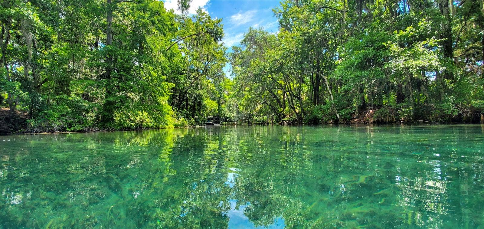 17946 SW 31ST STREET, Dunnellon, FL 34432 Rainbow River near home