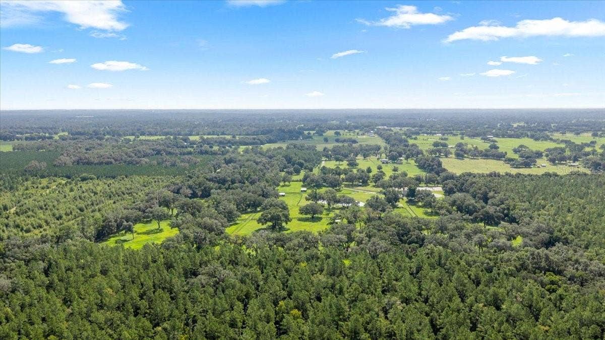 11140 NW 160TH AVENUE, Morriston, FL 32668 11140 NW 160TH AVENUE, Morriston, FL 32668