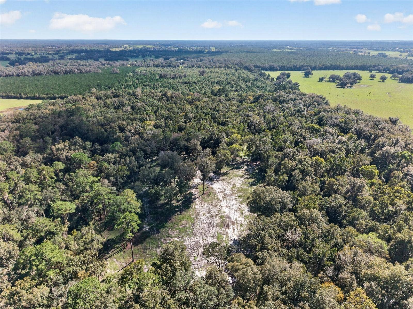 TBD NW 120TH STREET, Morriston, FL 32668 TBD NW 120TH STREET, Morriston, FL 32668