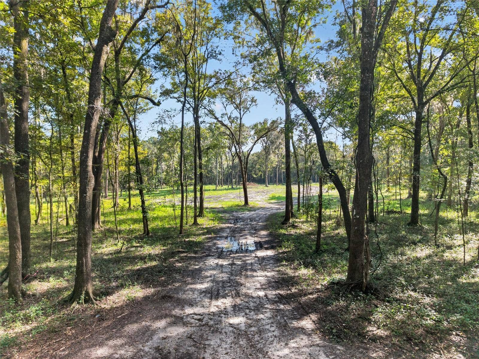 TBD NW 120TH STREET, Morriston, FL 32668 TBD NW 120TH STREET, Morriston, FL 32668