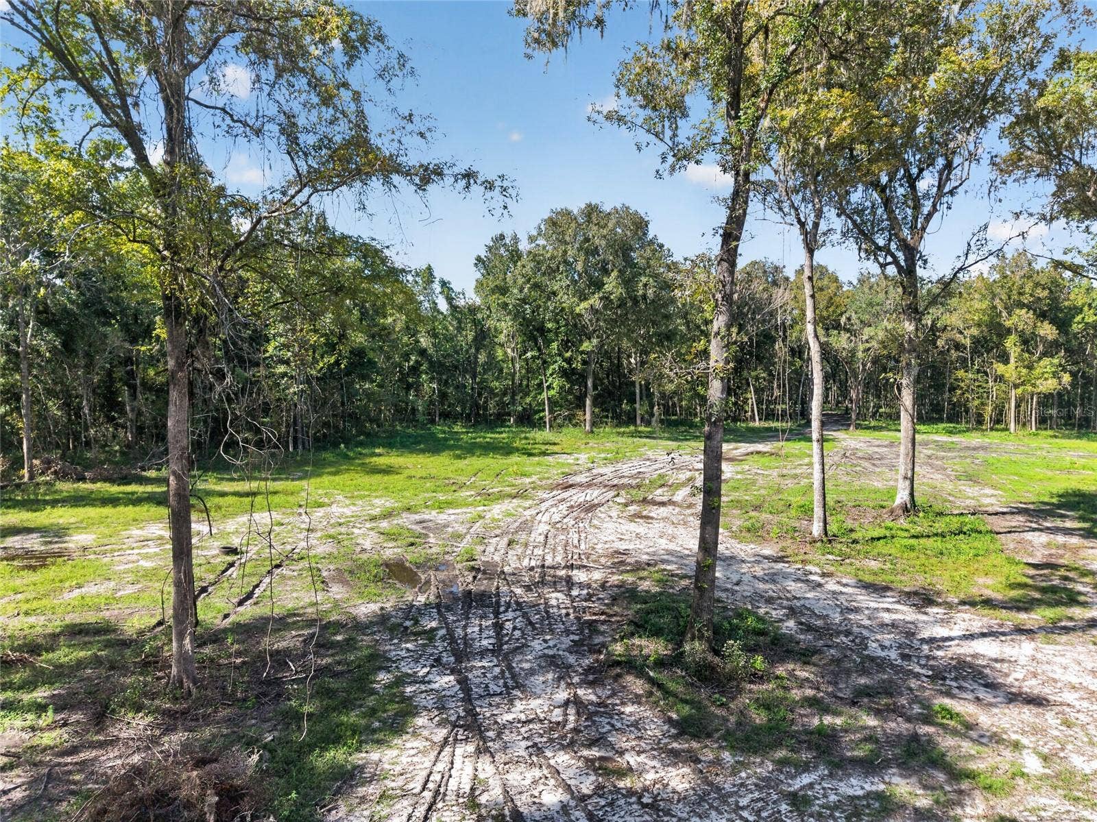 TBD NW 120TH STREET, Morriston, FL 32668 TBD NW 120TH STREET, Morriston, FL 32668