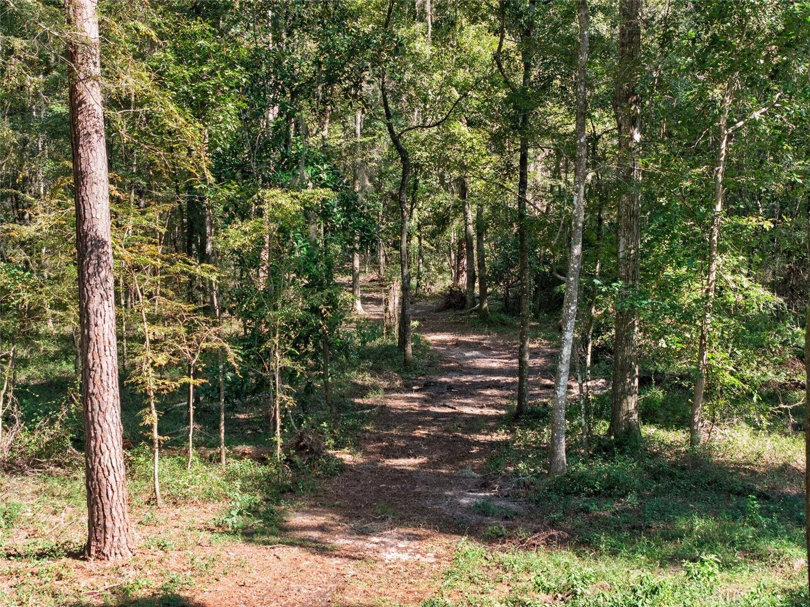 TBD NW 120TH STREET, Morriston, FL 32668 TBD NW 120TH STREET, Morriston, FL 32668