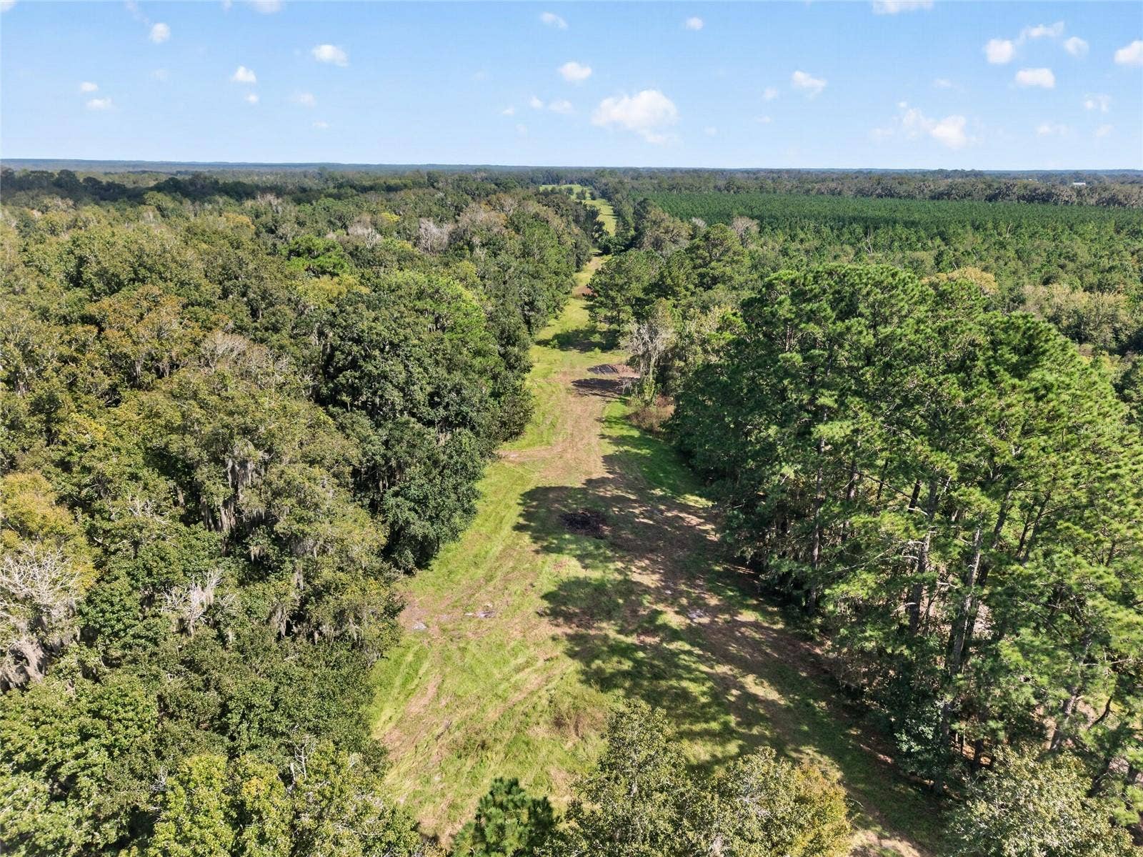 TBD NW 120TH STREET, Morriston, FL 32668 TBD NW 120TH STREET, Morriston, FL 32668