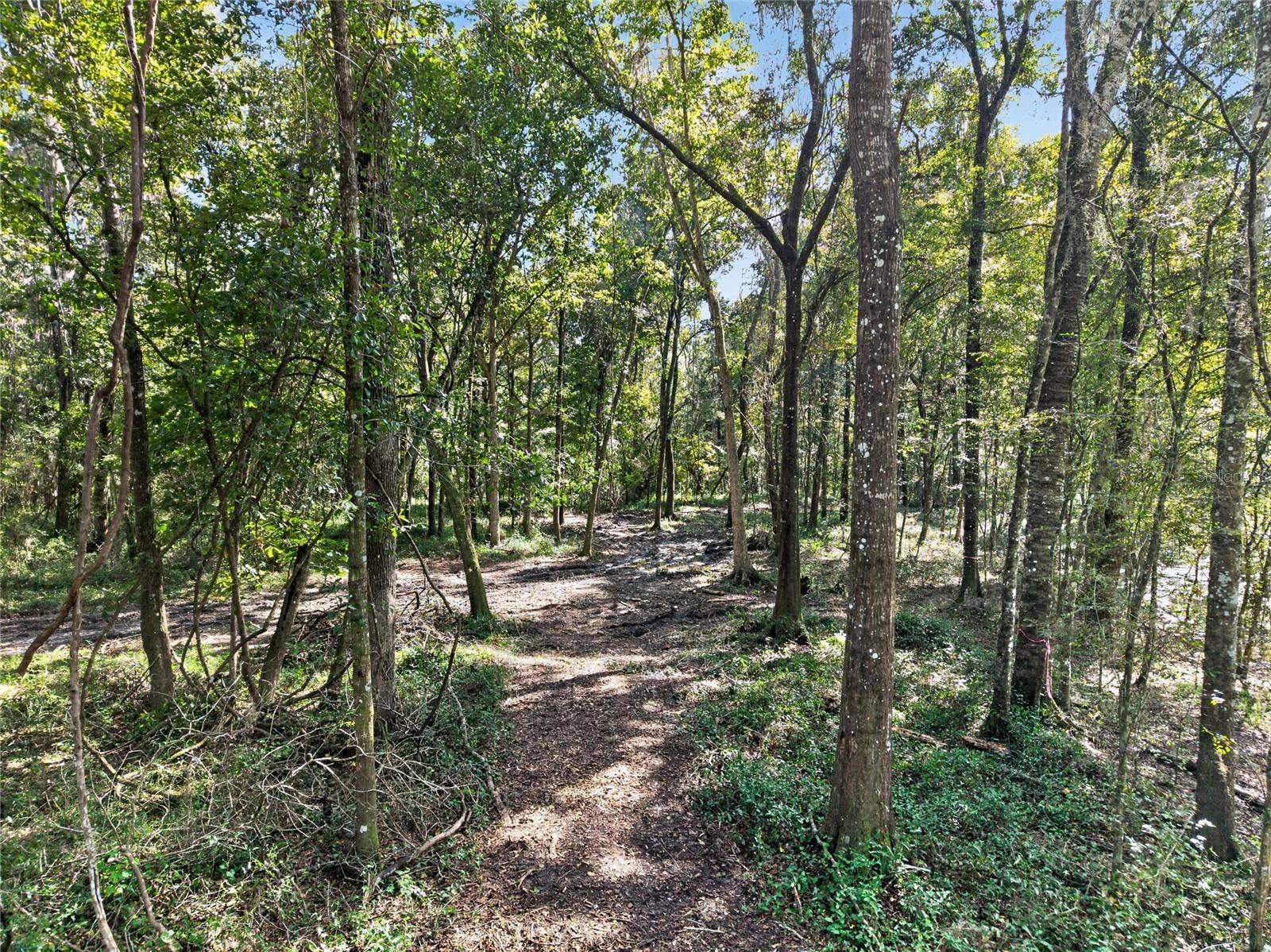 TBD NW 120TH STREET, Morriston, FL 32668 TBD NW 120TH STREET, Morriston, FL 32668