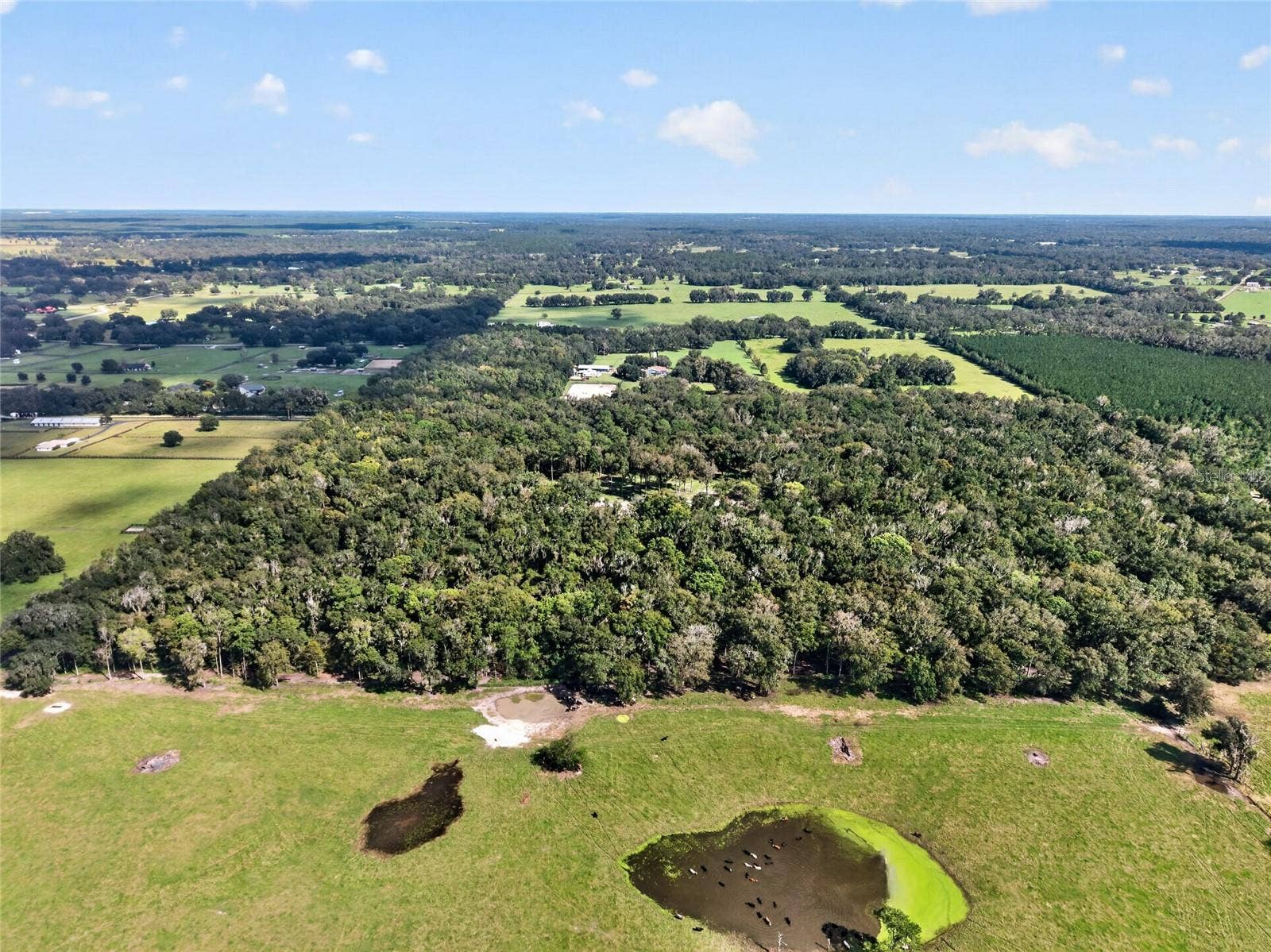TBD NW 120TH STREET, Morriston, FL 32668 TBD NW 120TH STREET, Morriston, FL 32668