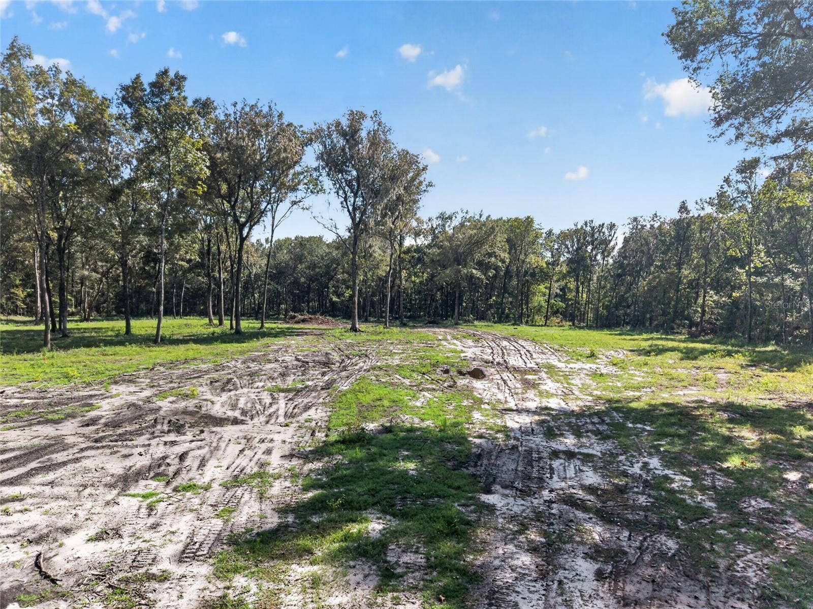 TBD NW 120TH STREET, Morriston, FL 32668 TBD NW 120TH STREET, Morriston, FL 32668