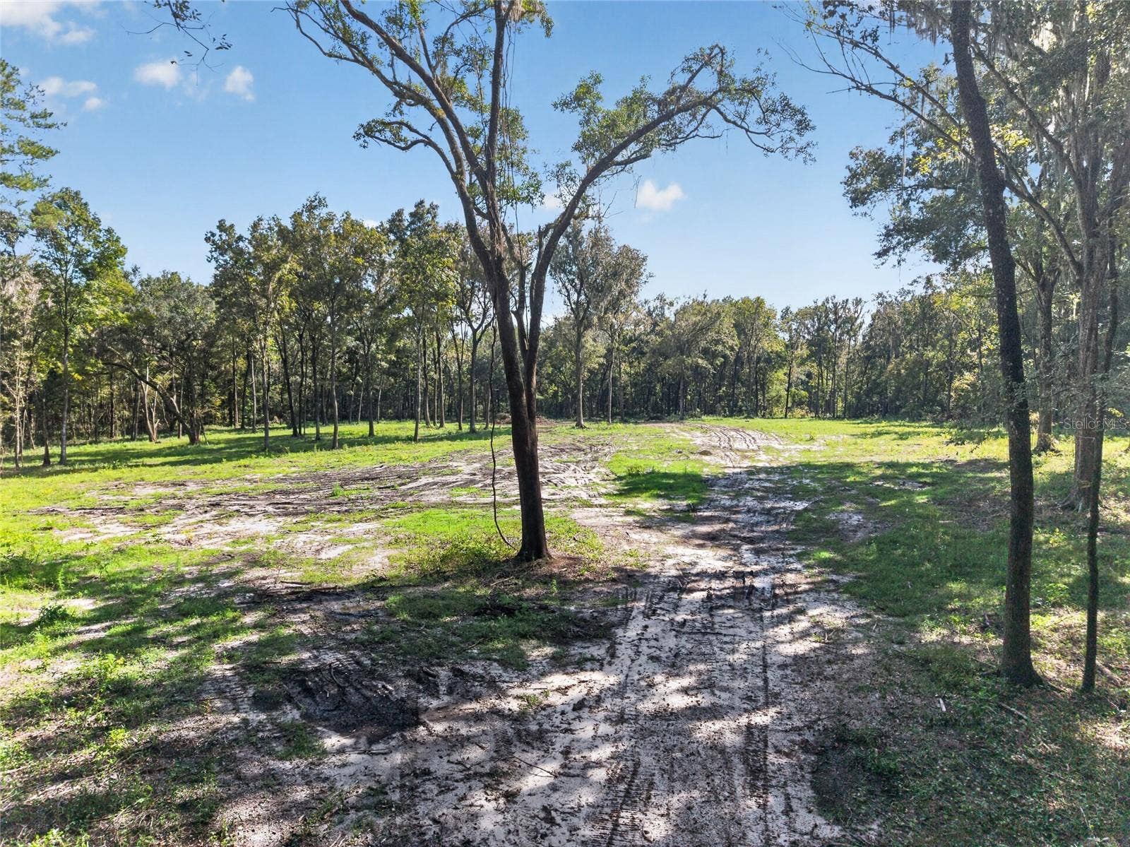 TBD NW 120TH STREET, Morriston, FL 32668 TBD NW 120TH STREET, Morriston, FL 32668