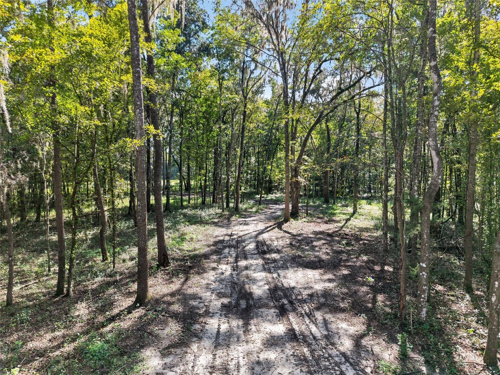 TBD NW 120TH STREET, Morriston, FL 32668 TBD NW 120TH STREET, Morriston, FL 32668