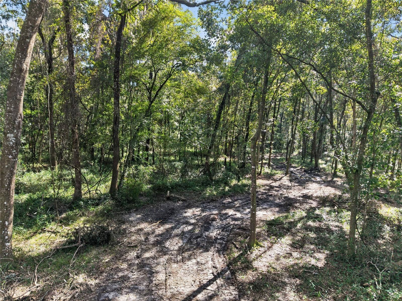 TBD NW 120TH STREET, Morriston, FL 32668 TBD NW 120TH STREET, Morriston, FL 32668