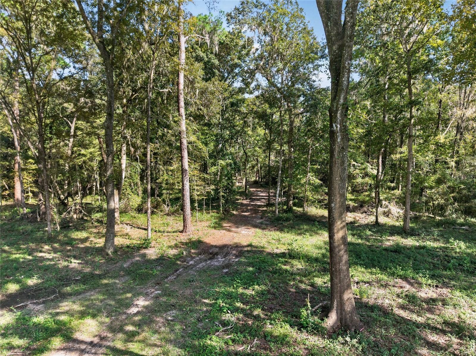 TBD NW 120TH STREET, Morriston, FL 32668 TBD NW 120TH STREET, Morriston, FL 32668