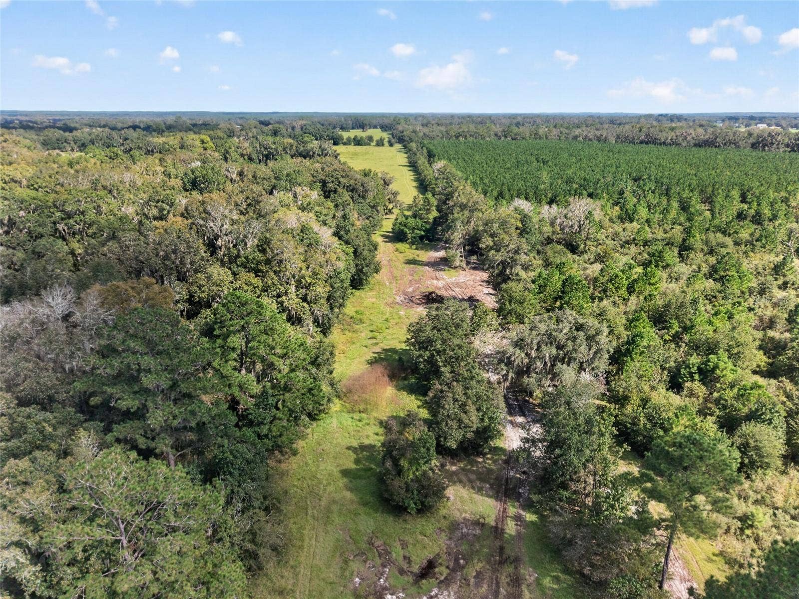 TBD NW 120TH STREET, Morriston, FL 32668 TBD NW 120TH STREET, Morriston, FL 32668