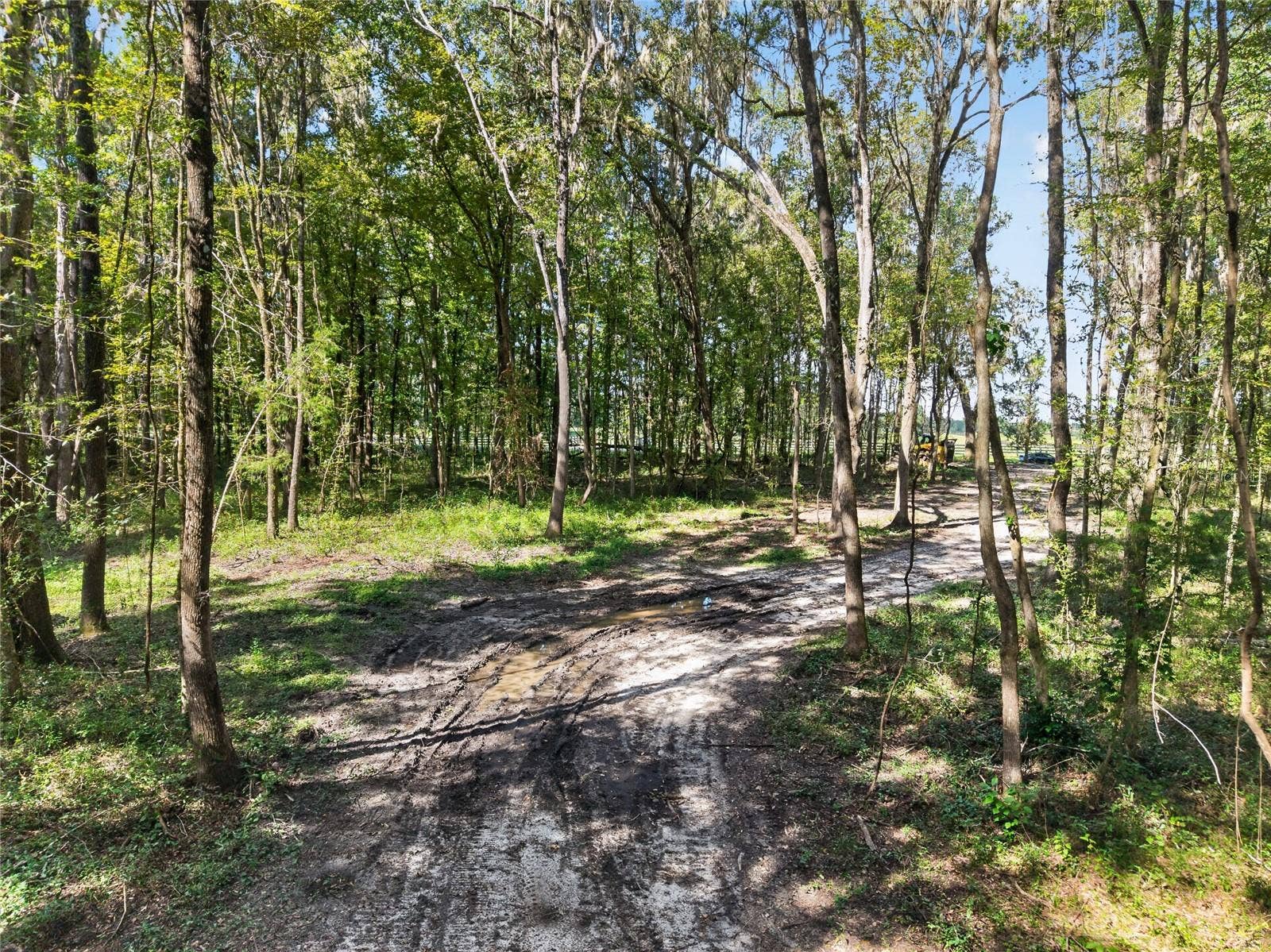 TBD NW 120TH STREET, Morriston, FL 32668 TBD NW 120TH STREET, Morriston, FL 32668