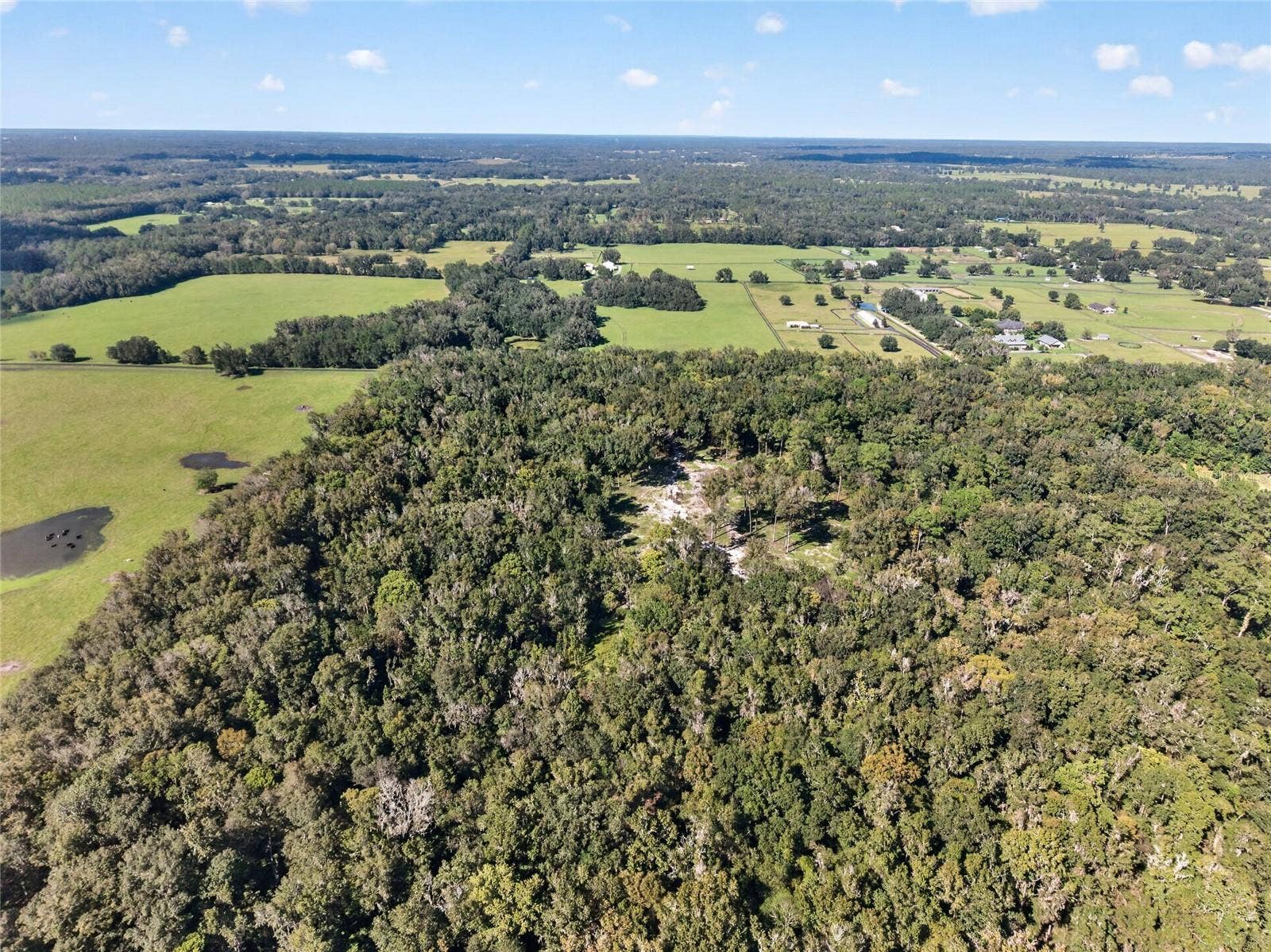 TBD NW 120TH STREET, Morriston, FL 32668 TBD NW 120TH STREET, Morriston, FL 32668