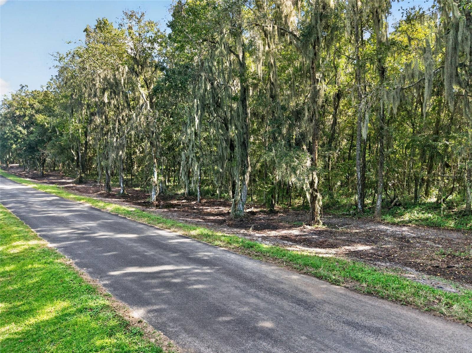 TBD NW 120TH STREET, Morriston, FL 32668 TBD NW 120TH STREET, Morriston, FL 32668
