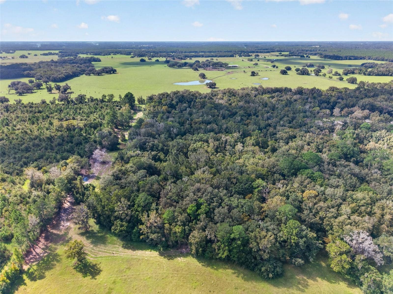 TBD NW 120TH STREET, Morriston, FL 32668 TBD NW 120TH STREET, Morriston, FL 32668