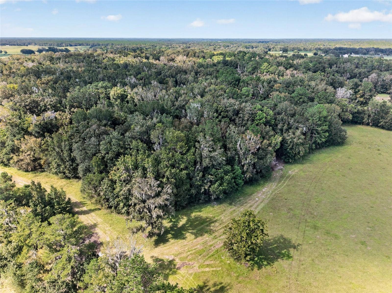 TBD NW 120TH STREET, Morriston, FL 32668 TBD NW 120TH STREET, Morriston, FL 32668