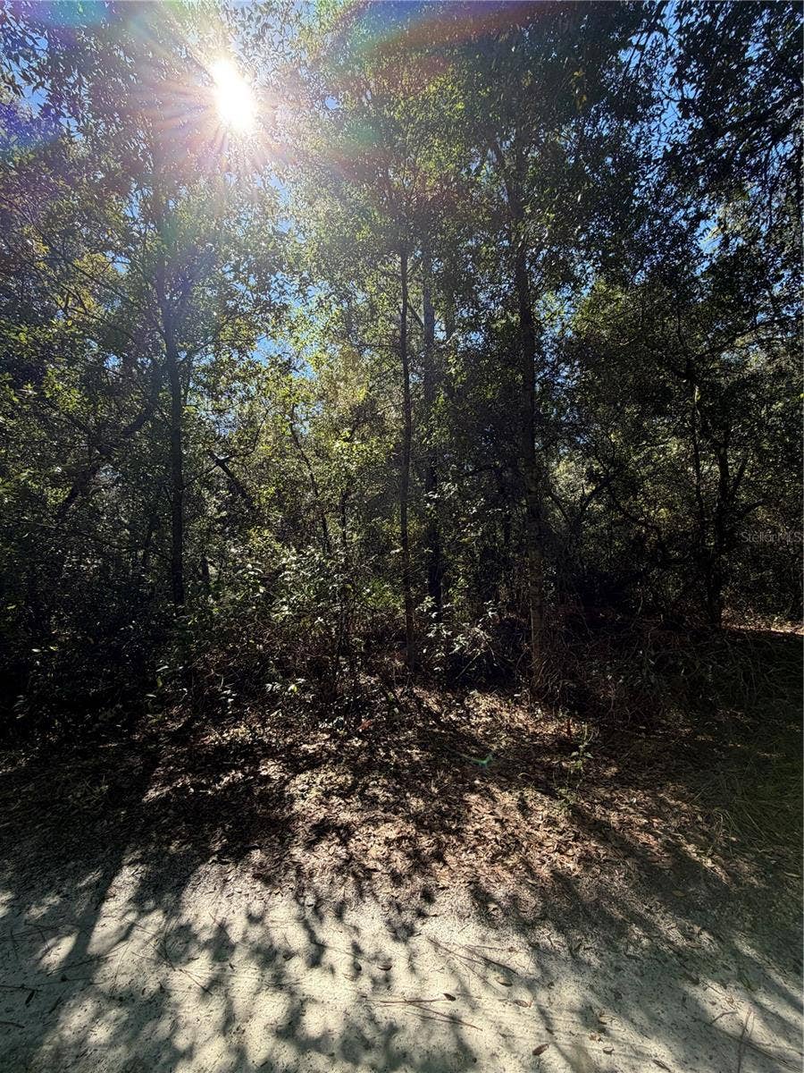 Property photo for TBD SW 151ST PLACE, Dunnellon, FL
