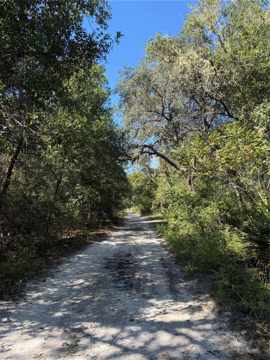 TBD SW 151ST PLACE, Dunnellon, FL 34432 TBD SW 151ST PLACE, Dunnellon, FL 34432