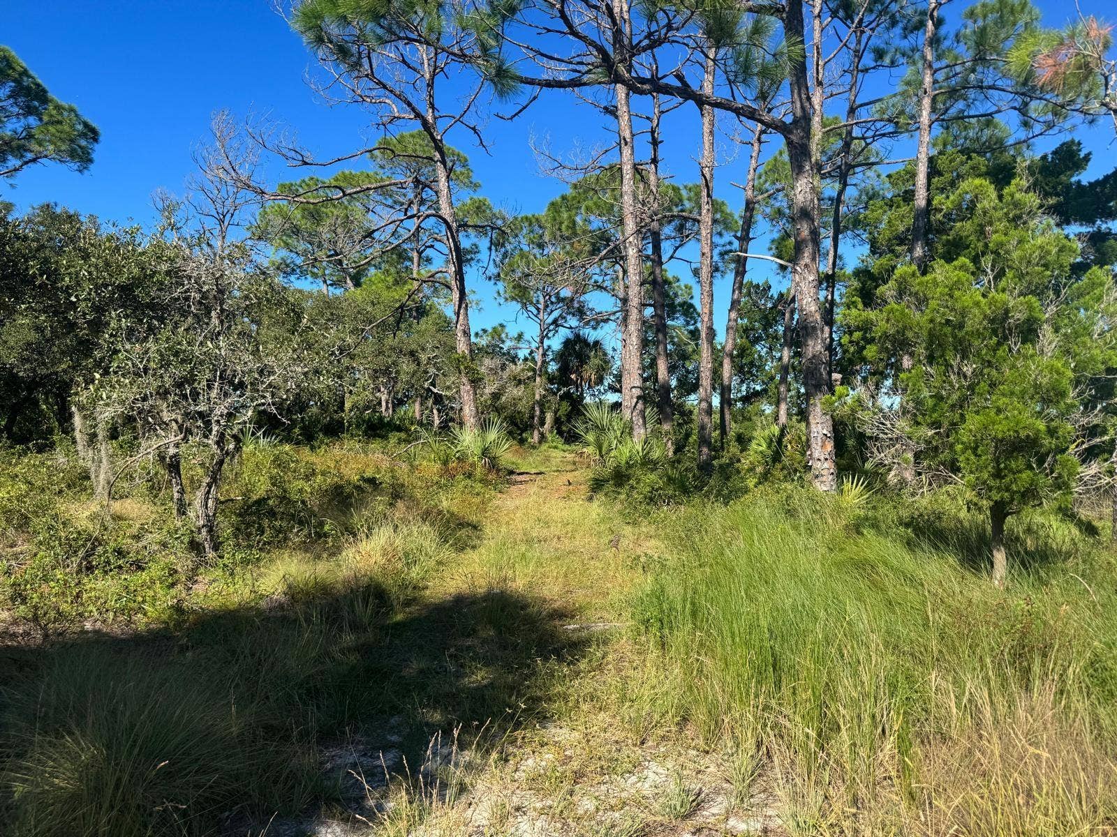 SW 133RD STREET, Cedar Key, FL 32625