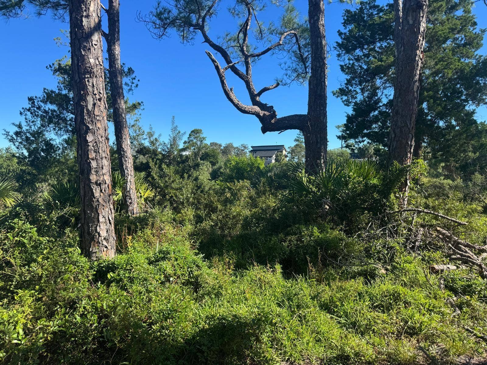 SW 133RD STREET, Cedar Key, FL 32625