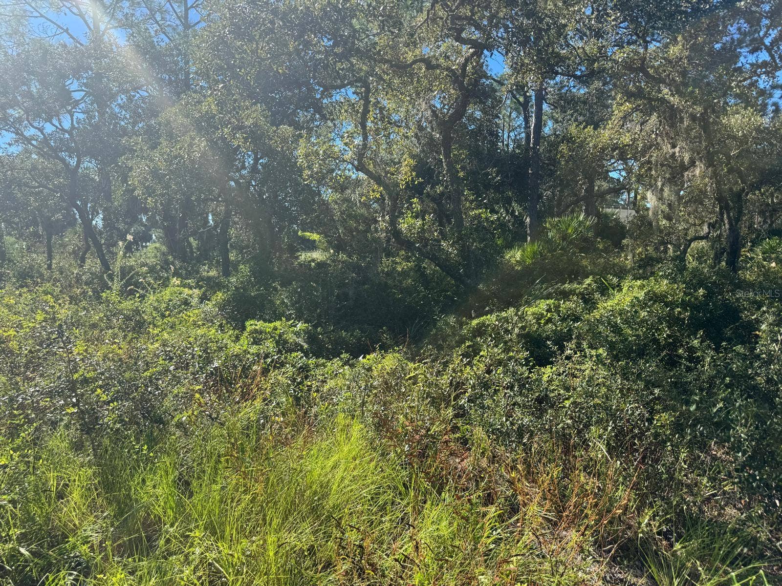 SW 133RD STREET, Cedar Key, FL 32625