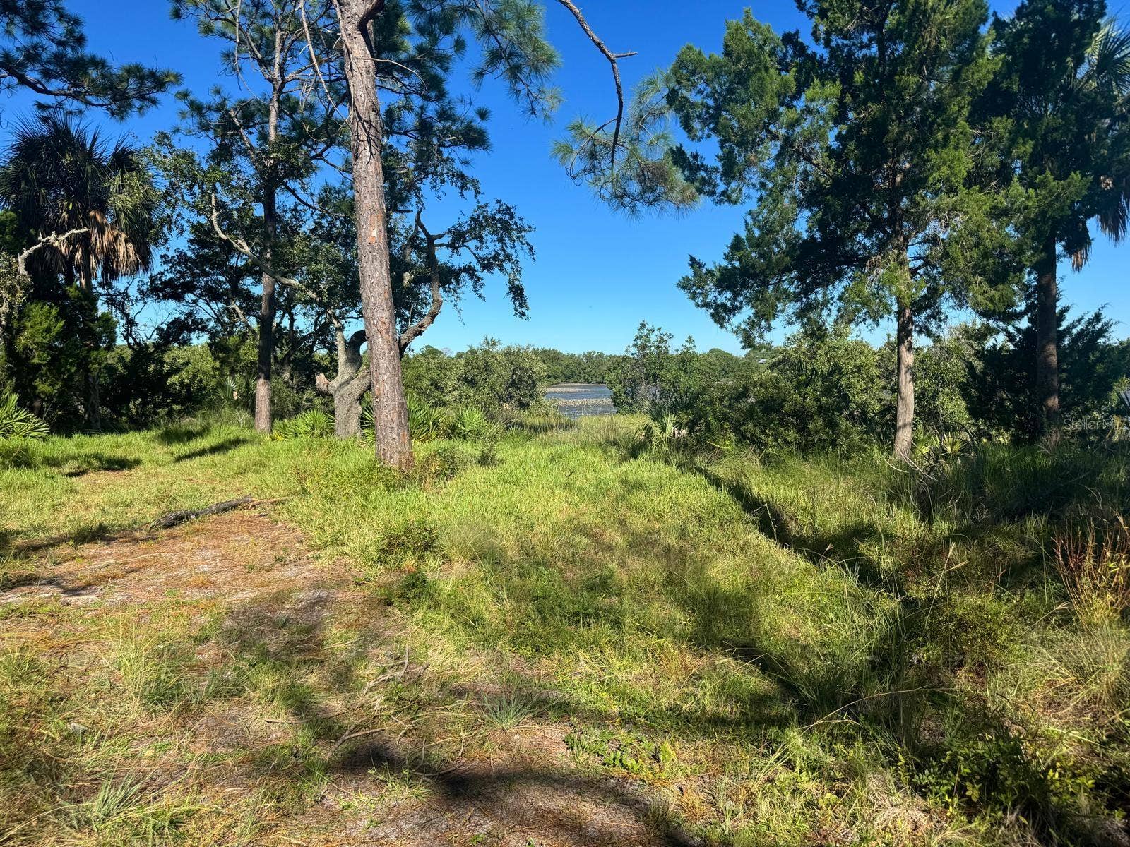 SW 133RD STREET, Cedar Key, FL 32625