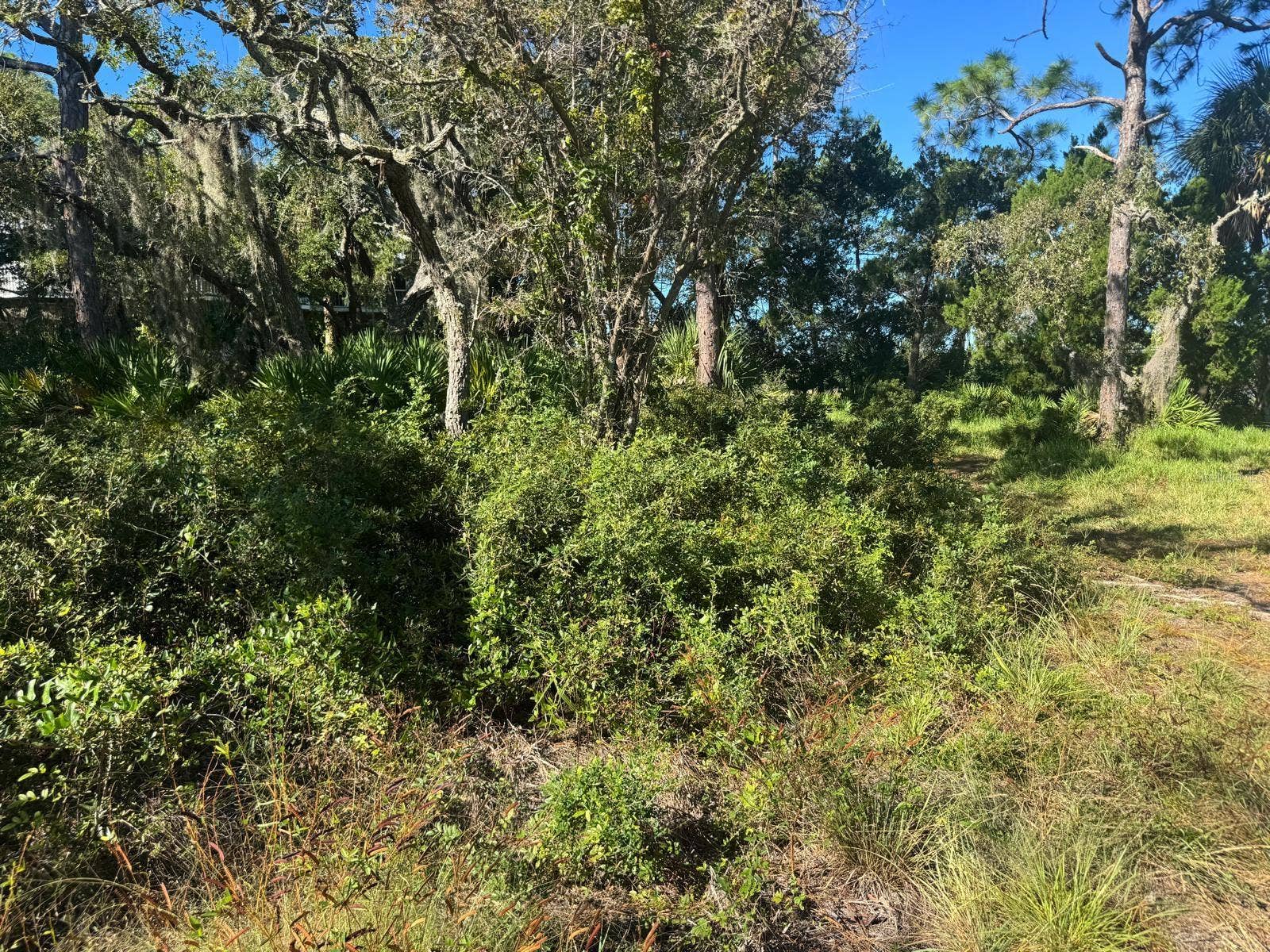 SW 133RD STREET, Cedar Key, FL 32625