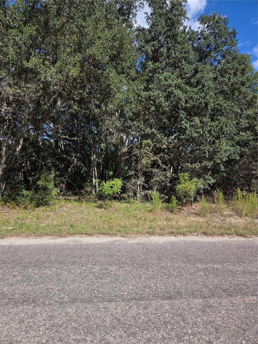 115 STREET ROAD, Ocklawaha, FL 32179 115 STREET ROAD, Ocklawaha, FL 32179